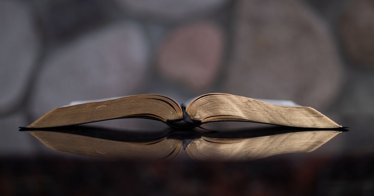 aaron-burden-1054032-unsplash