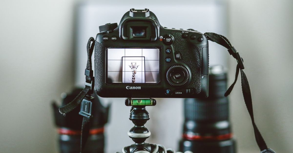 miss-zhang-NF1B6yyuwMQ-unsplash