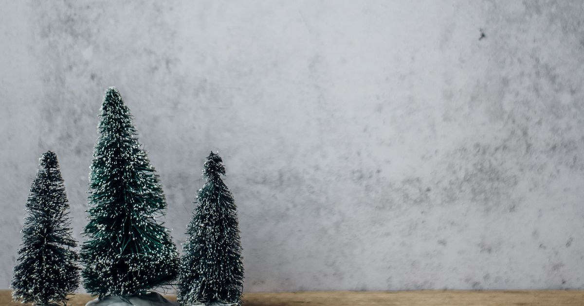 annie-spratt-OUq04iejcB8-unsplash