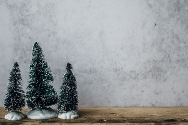 annie-spratt-OUq04iejcB8-unsplash