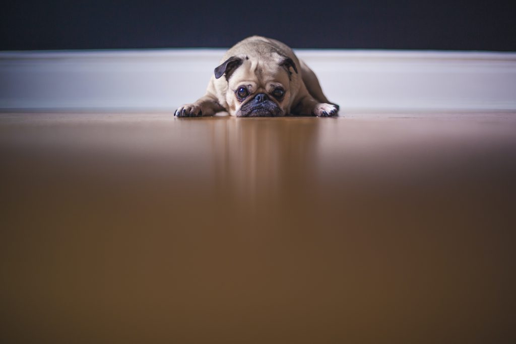 matthew-henry-6x-hVXXiBxs-unsplash-1024x683.jpg