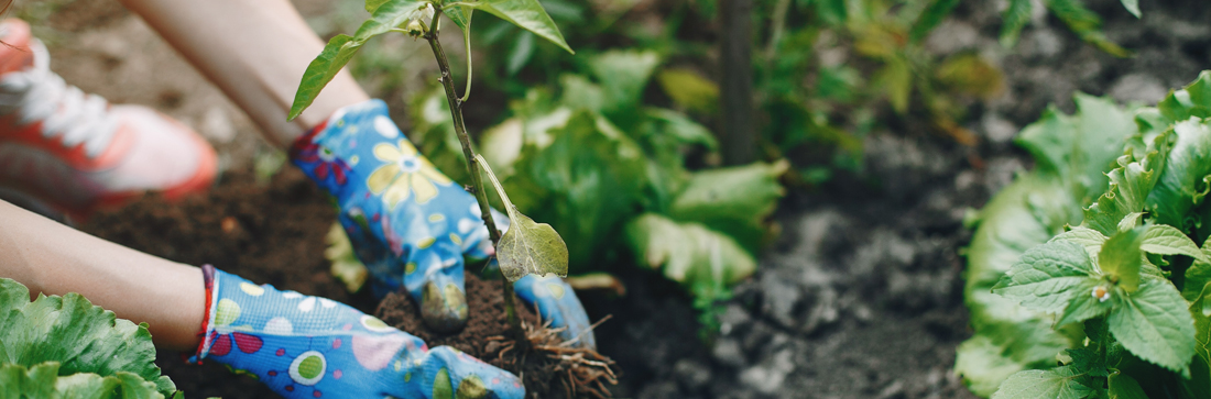 Gardening